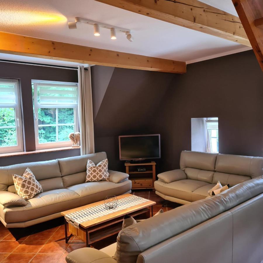 Appartements Im "Landhaus Am Frohnauer Hammer" Annaberg-Buchholz Exterior photo